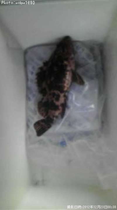 �����Υ���Х�