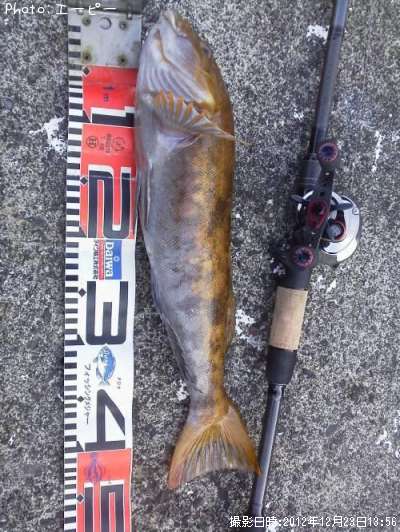 �����ʥ�