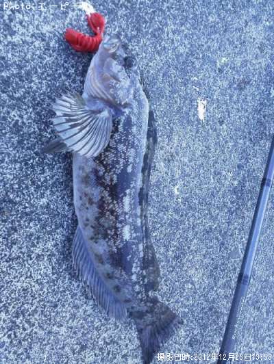 �����ʥ�