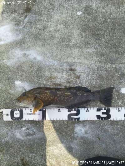 �����ʥ�