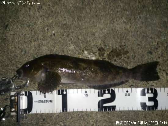 �����ʥ�