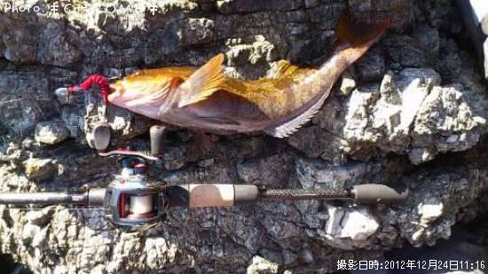 �����ʥ�