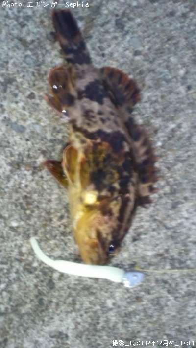 �����Υ���Х�