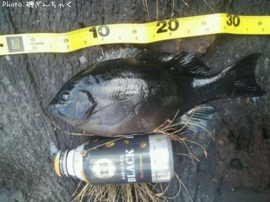 �����᥸��