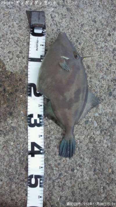 �ǥ��ť�ϥ��ʾС�