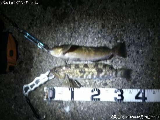 �����ʥ�