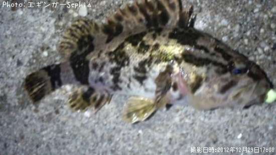 �����Υ���Х�