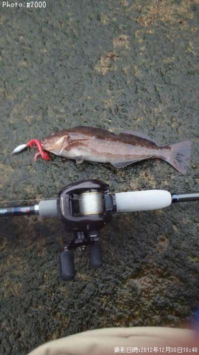 �����ʥ�