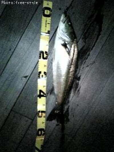 �ӣ��£���