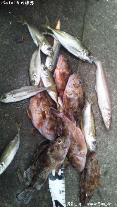 ������������������