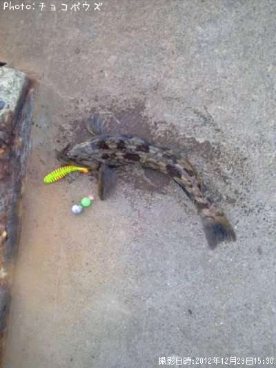 �����ʥ�