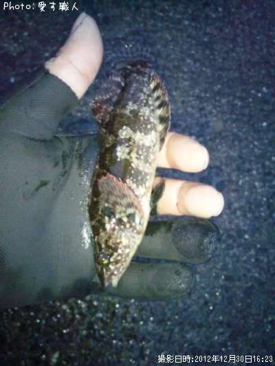 ��������ʥ�