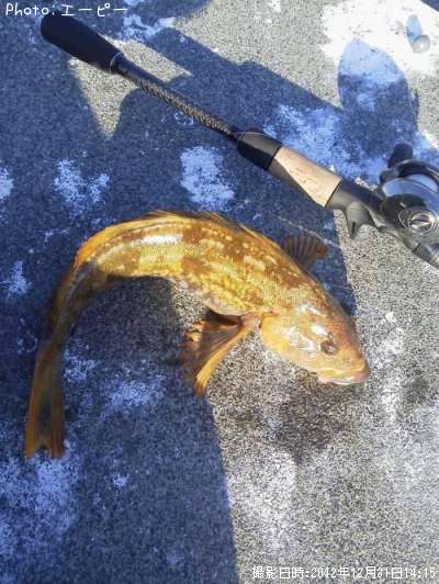 �����ʥ�