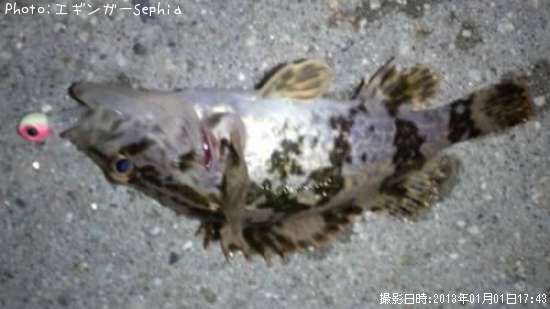 �����Υ���Х�