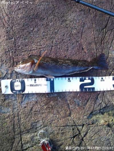 �����ʥ�