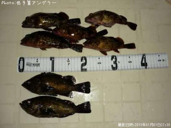 ��Х롦������