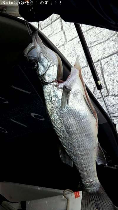 �ҥ饹����