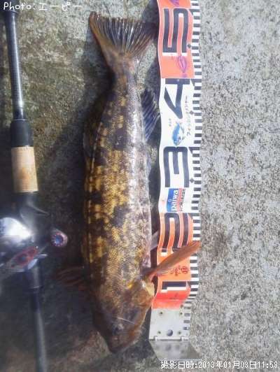 �����ʥ�