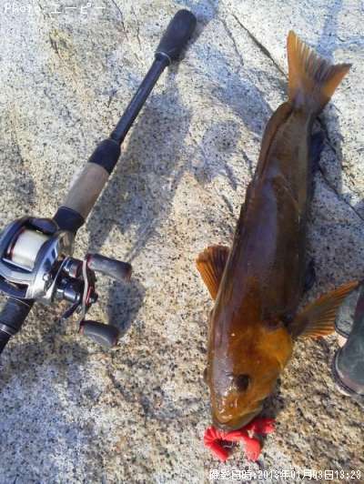 �����ʥ�