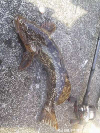 �����ʥ�