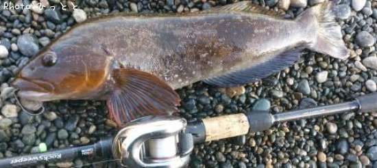 �����ʥ�