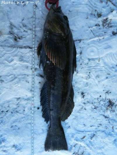 �����ʥ�