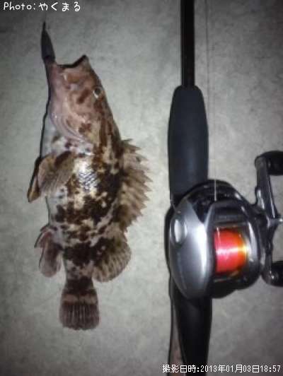 �٥å�������