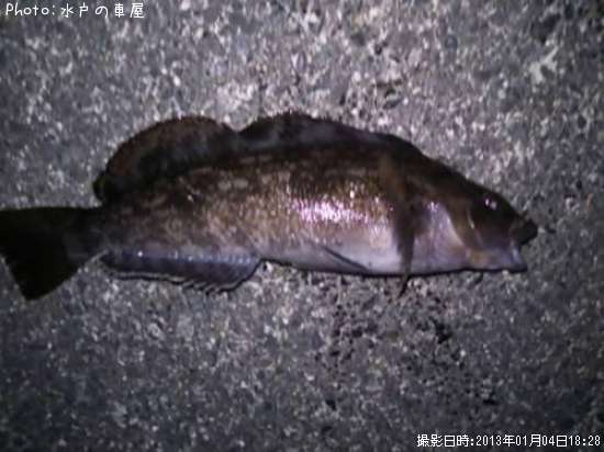 �����ʥ�