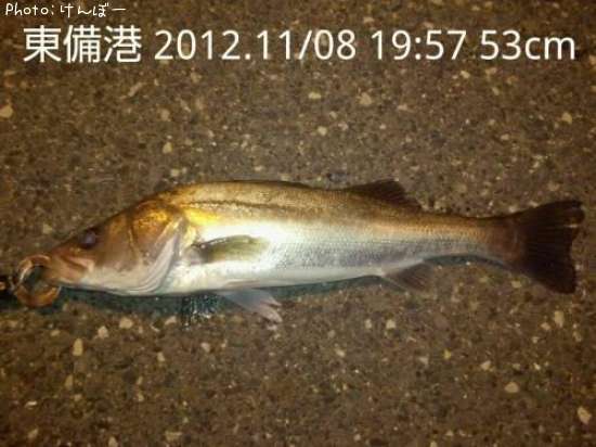 �����Х�