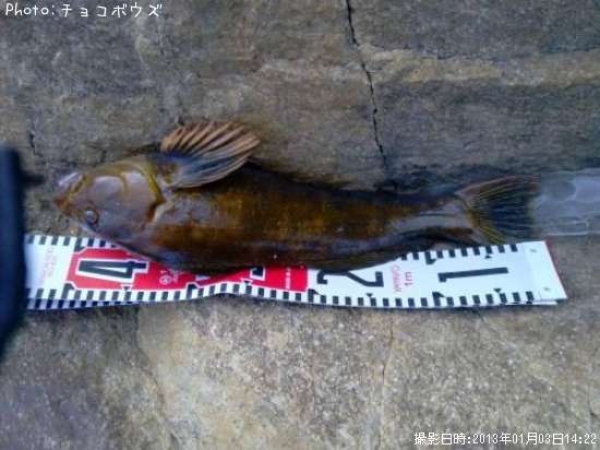 �����ʥ�