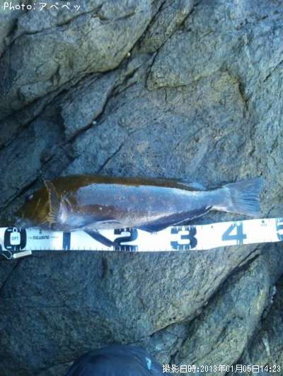 �����ʥ�