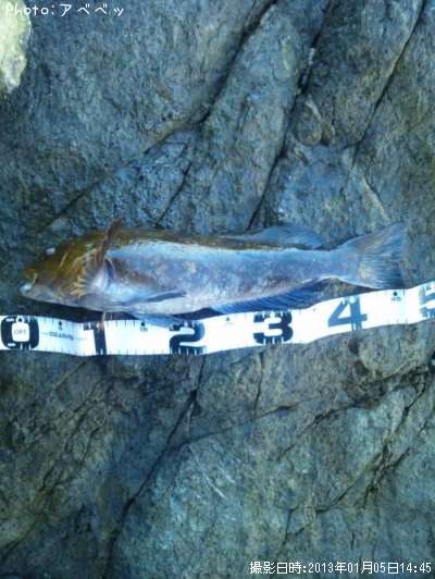 �����ʥ�