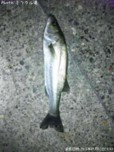 �����Х�