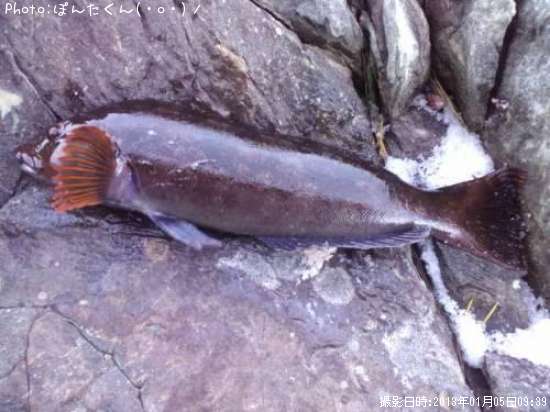 �����ʥ�