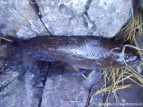 �����ʥ�