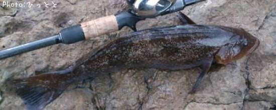 �����ʥ�