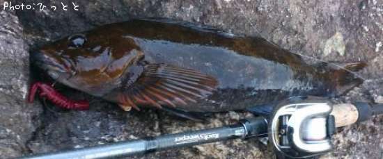 �����ʥ�