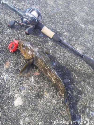 �����ʥ�