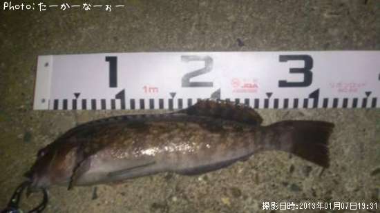 �����ʥ�