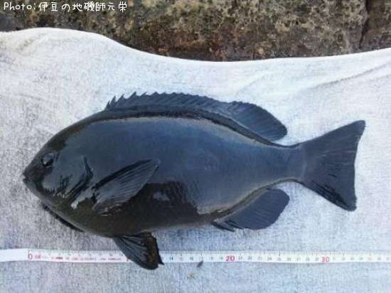 �����᥸��