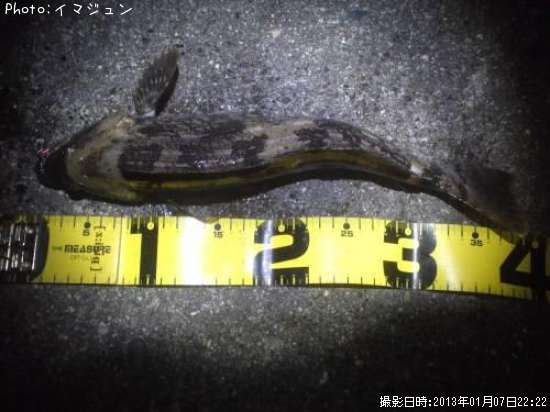 �����ʥ�