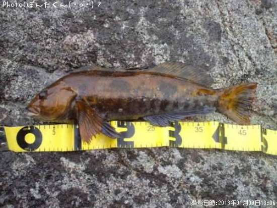 �����ʥ�