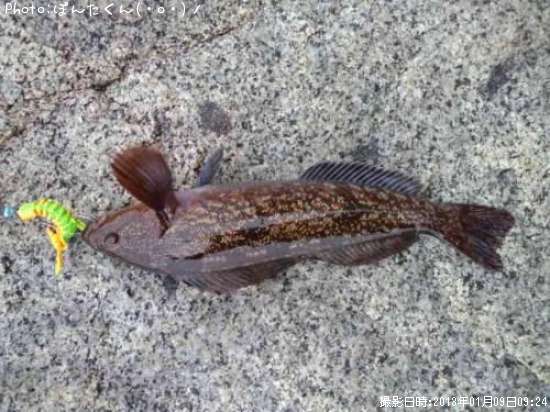 �����ʥ�