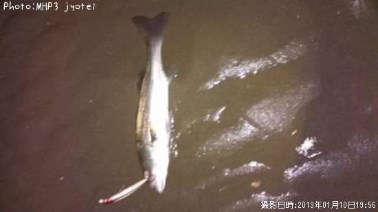 �����Х�