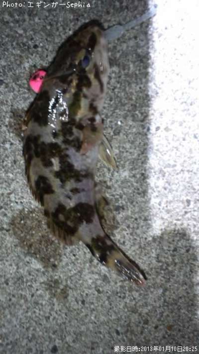 �����Υ���Х�