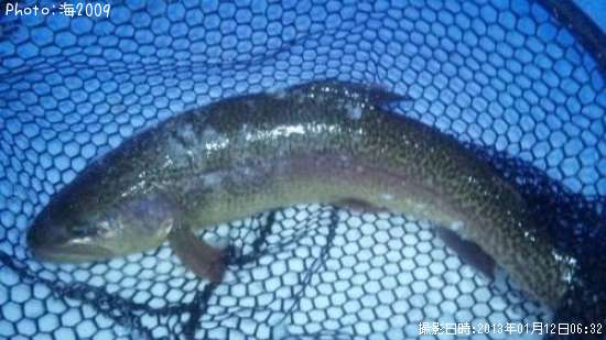 ���å��ȥ饦��