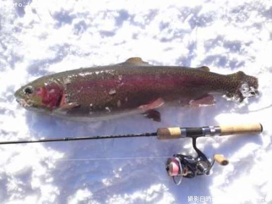 ���å��ȥ饦��