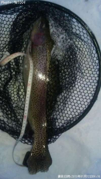 ���å��ȥ饦��