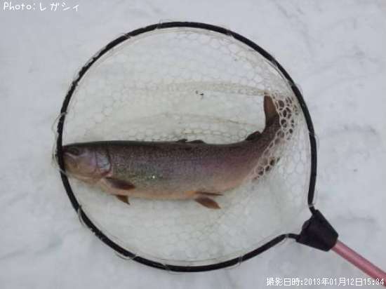 ���å��ȥ饦��