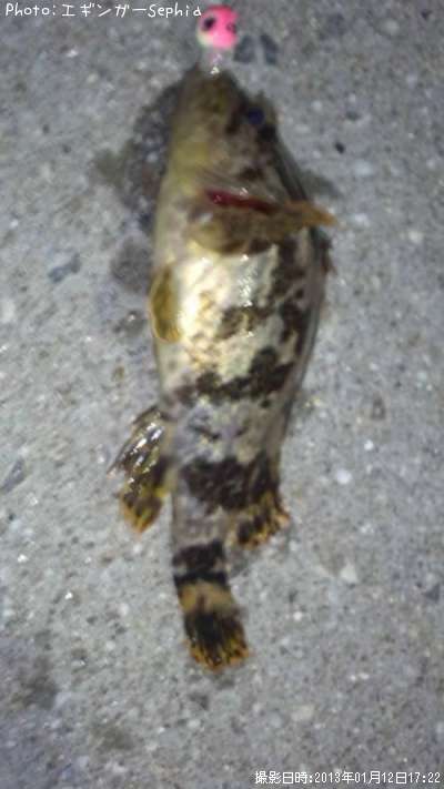 �����Υ���Х�